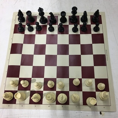 체스8